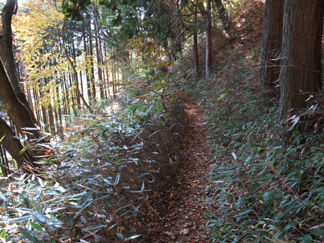 20171102hike (265)